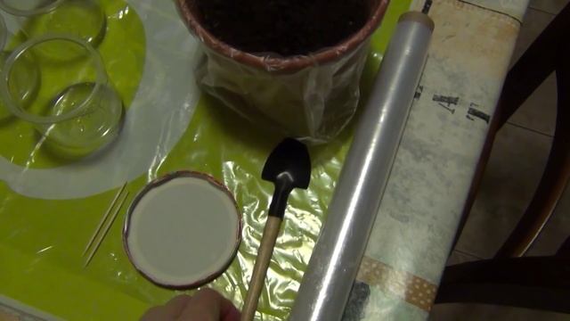 Посадка семян петуньи и примулы Покупка Герберы Весеннее настроение смотреть онлайн