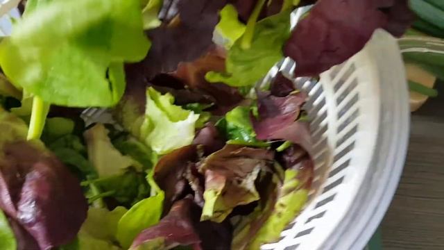 #свекла Как быстро запечь свеклу! Салат с запечённой свеклой, козьим сыром, зеленью и фруктами. смотреть онлайн