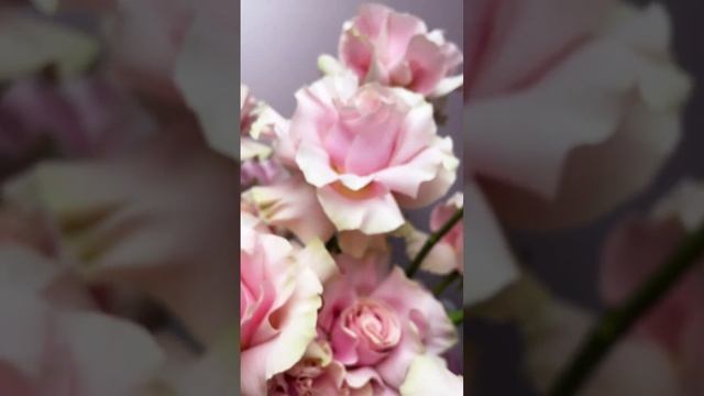 Шляпная коробка с розами Pink Mondial