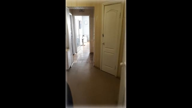 Московский Пр. 205 смотреть онлайн