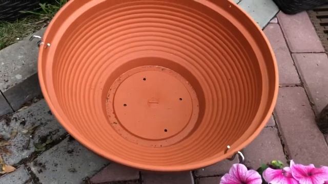 Подвесные кашпо для петунии делаем сами! смотреть онлайн