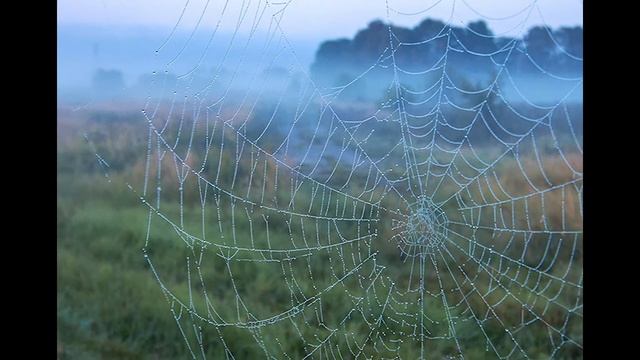 ПОЧЕМУ ТАК НАЗЫВАЕТСЯ | БАБЬЕ ЛЕТО смотреть онлайн