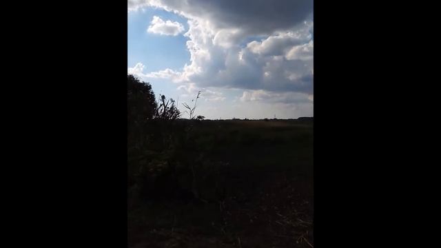 Полёт журавля над полем смотреть онлайн