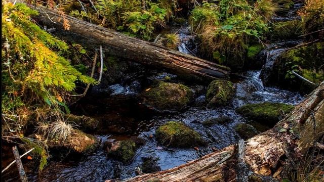 DIETRICH FISCHER-DIESKAU ~ Danksagung An Den Bach - Franz Schubert ~ JÖRG DEMUS, Klavier (2000)...