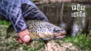 Ловля дикой форели  на лесных реках