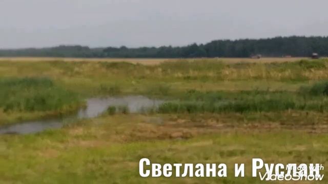 Речка заросла камышами, негде купаться... смотреть онлайн