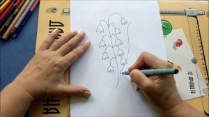 Как нарисовать ландыш карандашами | How to draw a lily of the valley with pencils