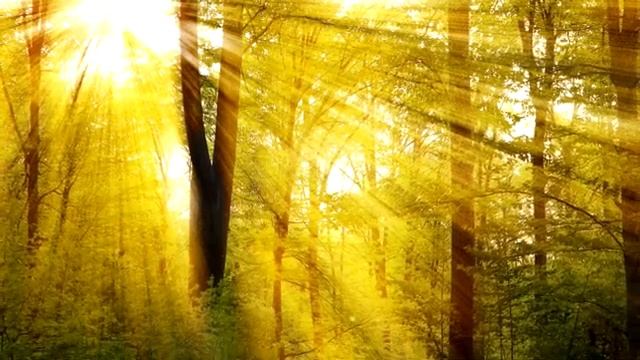 Медитация для успокоения и концентрации Мать Земля. Медитация для женщин смотреть онлайн