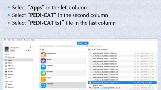 Exporting PEDI-CAT Scores to Excel on the iPad смотреть онлайн