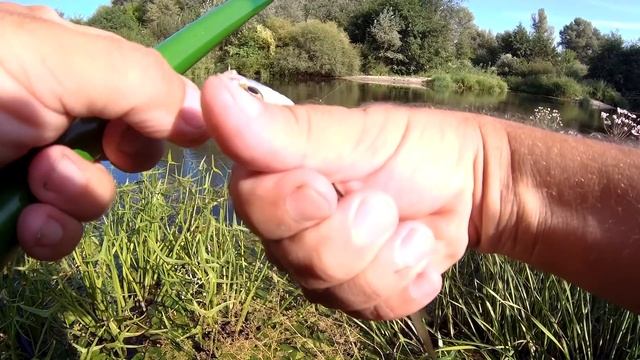 Рыбалка в жару 10 августа. клёв разных рыб! смотреть онлайн