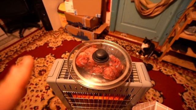Граф приехал домой !!! Встретили волка !!! Первые шаги в новом доме / Увидел собак. Питбуль Граф смотреть онлайн