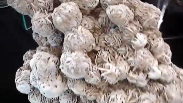 Selenite Rose 2 смотреть онлайн