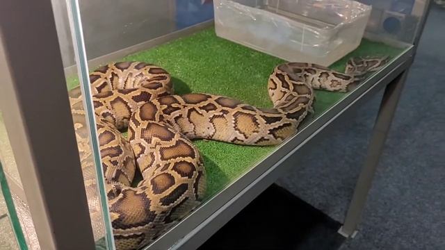 ОКЕАНАРИУМ В ВОЛГОГРАДЕ / АКВАПАРК 21 ВЕК / КОЛЕСО ОБОЗРЕНИЯ смотреть онлайн