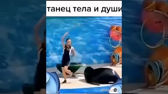 Танцуем танго... смотреть онлайн