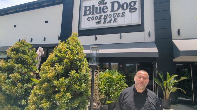 The Blue Dog Cookhouse and Bar Restaurant Review in Boca Raton, South Florida (11/06/2023) смотреть онлайн