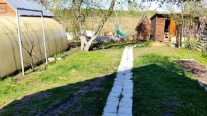 Пневматическая винтовка ИЖ 61 ОБЗОР И ОТЗЫВ