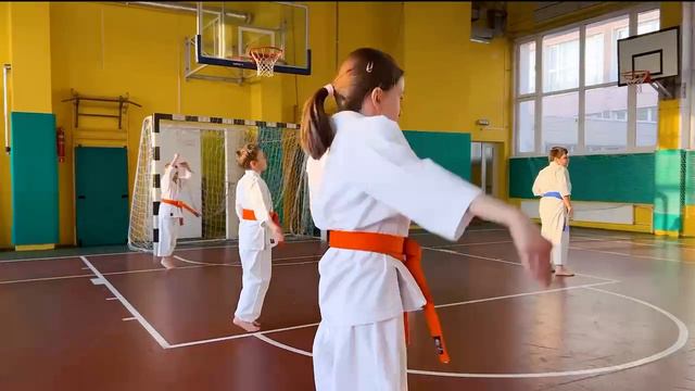 Каратэ Киокусинкай (