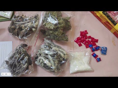 В Калининградской области перед судом предстанут организатор и девять работников наркомаркета смотреть онлайн