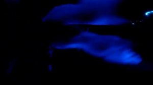 ТЕАТР БОДИ-АРТА "MAXIMUM".wmv