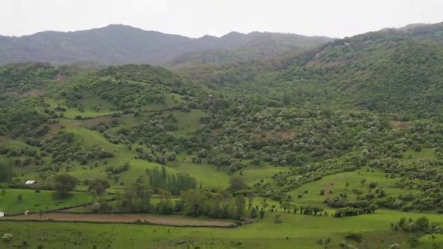 Арсланбоб- реликтовые леса грецкого ореха. смотреть онлайн