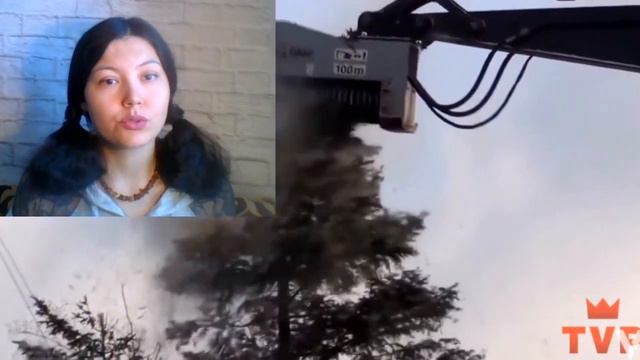 САМОЕ ПРИЯТНОЕ ВИДЕО ВО ВСЕЛЕННОЙ НЕ ЗАЛИПНИ ЧЕЛЛЕНДЖ - ВКЛЮЧИ И РАССЛАБЬСЯ / РЕАКЦИЯ смотреть онлайн