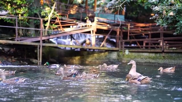 Мужчины каких знаков не торопятся жениться?