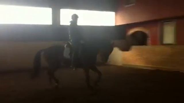 Caroline Albertsen - på en 3 års hingst. смотреть онлайн