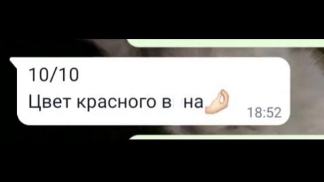 @funlibanan7369 оценивает костюмы Александры Трусовой?❤ 2/? #сашатрусова #трусова смотреть онлайн