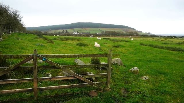 Пробую Шотландский Завтрак / Уникальный Ландшафт Эпохи Неолита / Шотландия #5