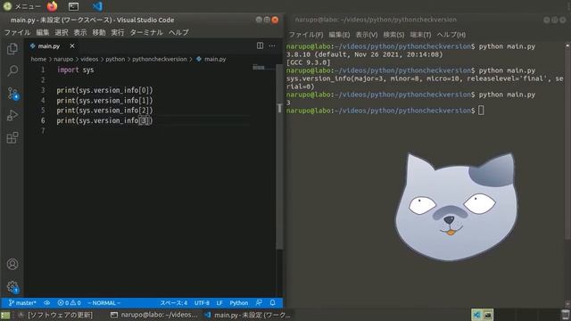 Pythonのバージョンの確認方法を解説します【オプション、sys, platform】 смотреть онлайн