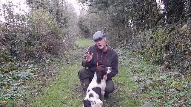 Retrieving issues with gundog pup. смотреть онлайн