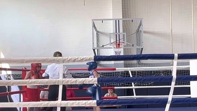 Отправил в Стоячий нагдаун Муса #monarch #boxing #holl #муса #спб #бокс #sport #fight # смотреть онлайн