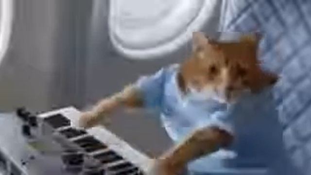 Кот играет на пионине!!! смотреть онлайн