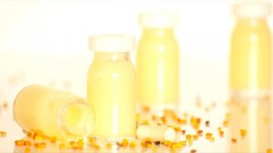 Пчелиное маточное молочко: полезные свойства и для чего применяется