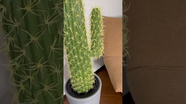 мексиканский кактус в сером кашпо смотреть онлайн