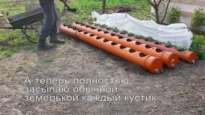 ? Клубника в ТРУБЕ посадка Клубники в трубу ПВХ