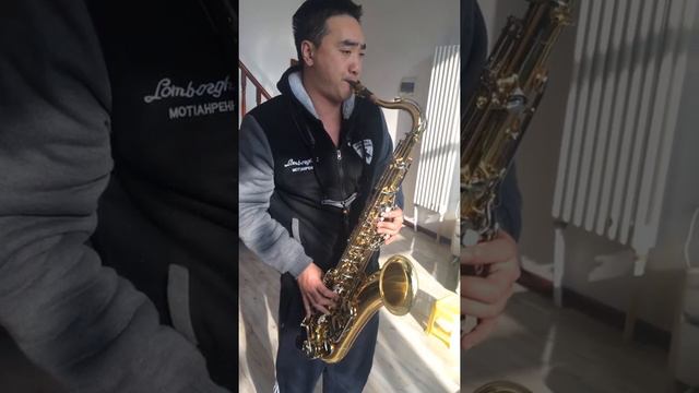 Yamaha YTS-23 Tenor Saxophone W/ Case NICE SAX смотреть онлайн