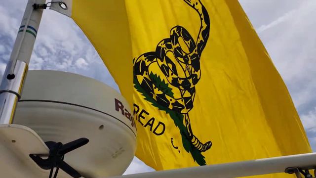 Christopher Gadsden's Flag смотреть онлайн