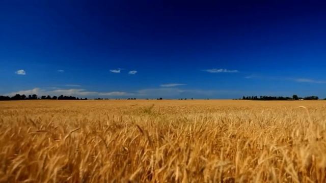 Не бзди во ржи - Заставка смотреть онлайн