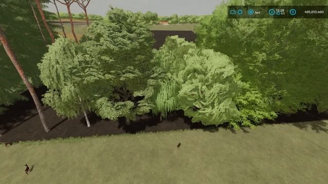 TREE GROWTH TEST - Farming Simulator 22 смотреть онлайн