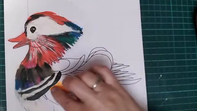 утка мандаринка смотреть онлайн