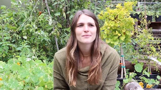 Are We Having Kids?  Are We Married? THE REALITY OF LIVING OFF GRID - Q&A