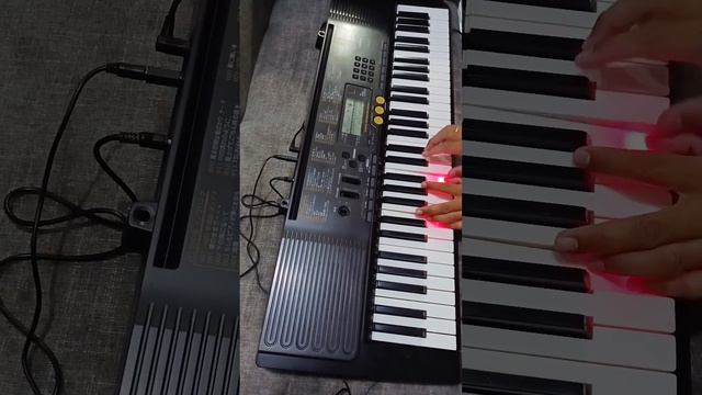 Casio LK 113 (Touch Response) смотреть онлайн