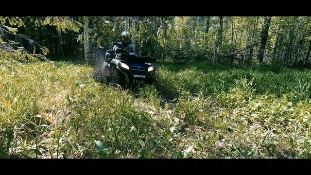 Экстремальная езда по лесу на квадроцикле. смотреть онлайн