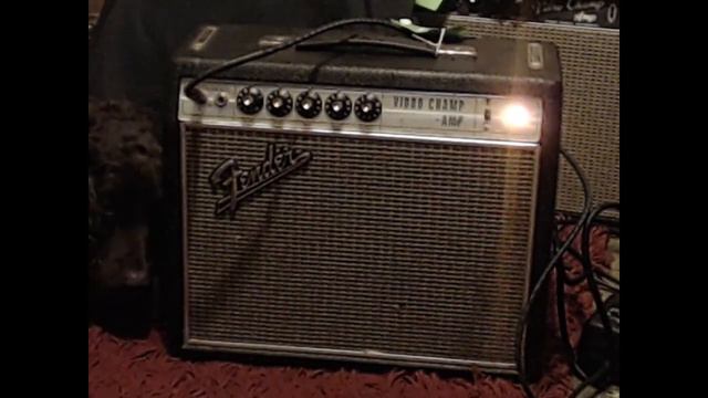 Fender Vibro Champ (Silverface) Vintage 1960's amp смотреть онлайн