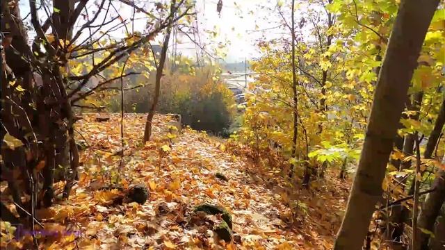 Schrony przeciwlotnicze Gorzów Wielkopolski 1941 Landsberg . Schron przeciwlotniczy Gorzów смотреть онлайн