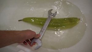 Люффа или бешеный огурец Выращиваем натуральную мочалку  Как очистить люффу Результаты розыгрыша