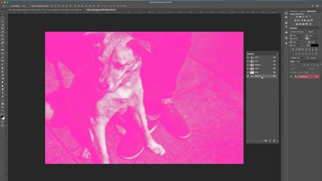 TPSi Tutorial: Photoshop White Ink смотреть онлайн