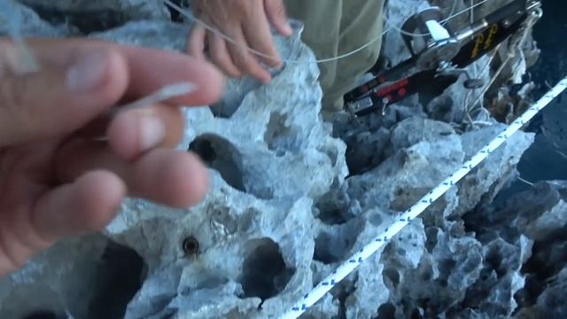 【恐怖】すぐ足下で2匹のサメが大魚を奪い合い！？１２０号の大物竿でリベンジ！ смотреть онлайн