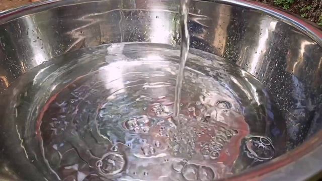 petik bunga cebreng (gamal) buat makan siang | masak di desa | gliricidia sepium смотреть онлайн